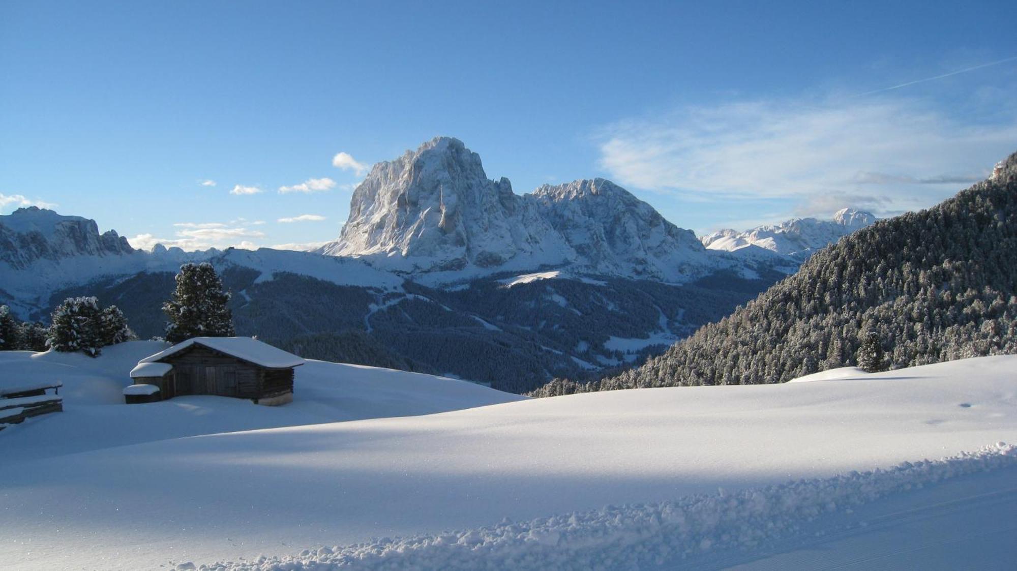 Apartments Dolomie Ortisei Esterno foto